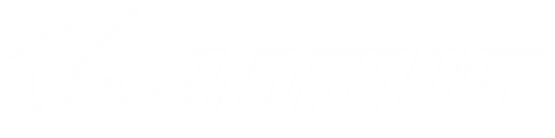 Gigabyte (AORUS)